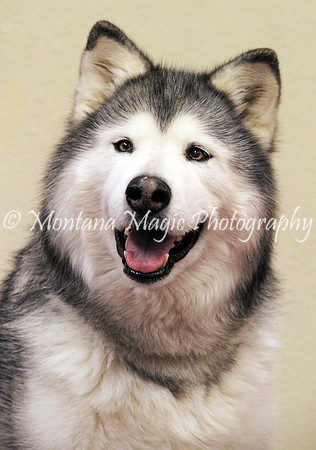 Chena 01