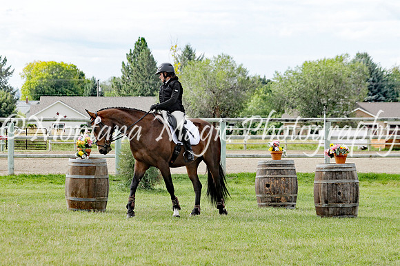 Farsing Moondance_7591