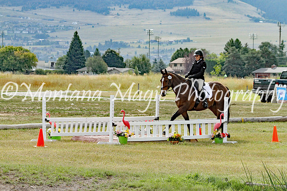 Farsing Moondance_7603