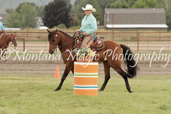 Shelby_7709