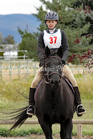 Air Horse One_2072