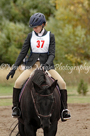 Air Horse One_2065