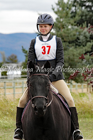Air Horse One_2075