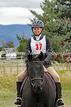 Air Horse One_2074