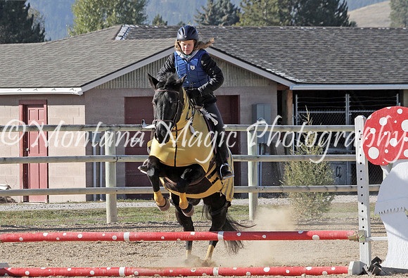 Air Horse One_3027