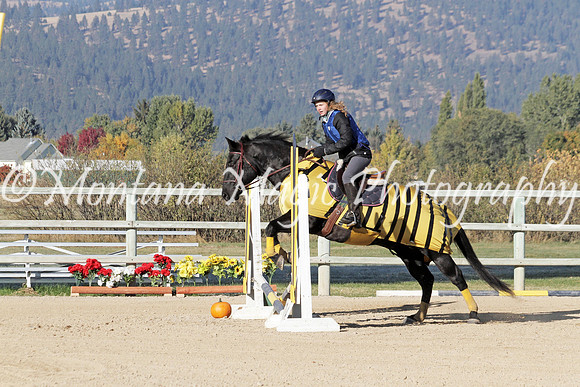 Air Horse One_2968