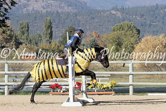 Air Horse One_3030