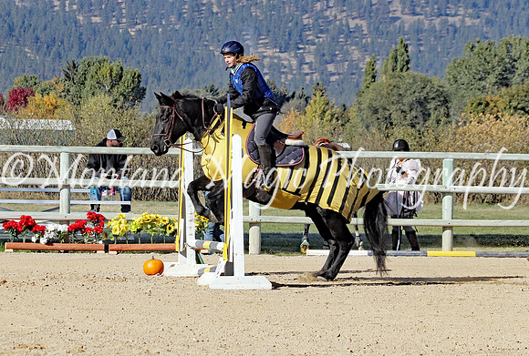 Air Horse One_3103