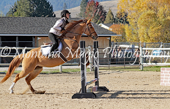 Lucy_3041