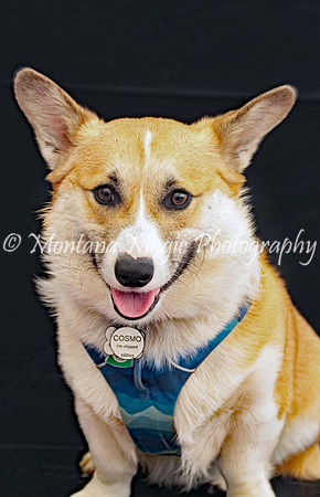 Cosmo_0375