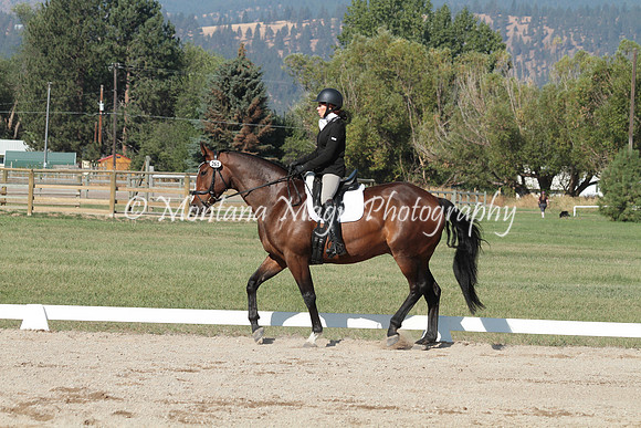 Fairsing Moondance_7774
