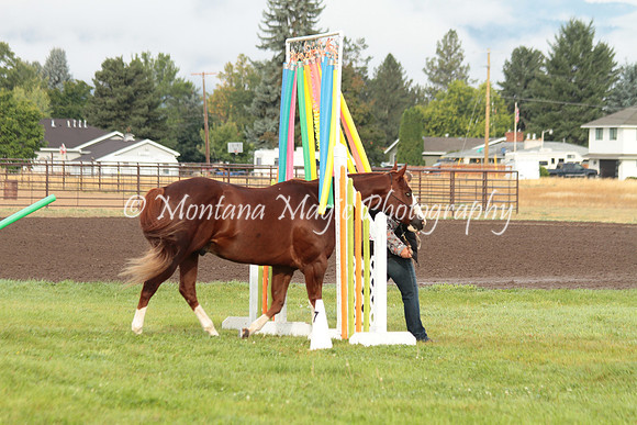 Big D_0673