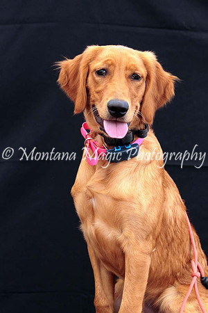 Lola_0568