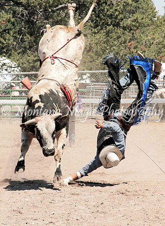 Bulls 1 - Cowboys 0