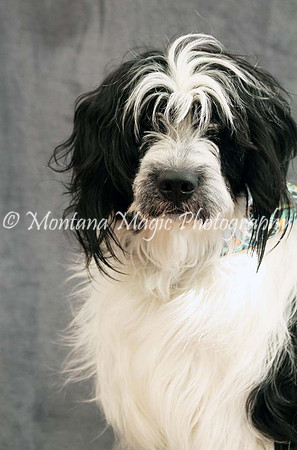 Tucker_0429-A
