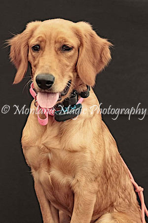 Lola_0577