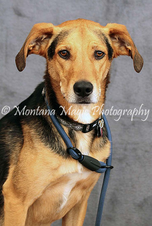 Petey_0526