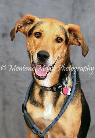 Petey_0529