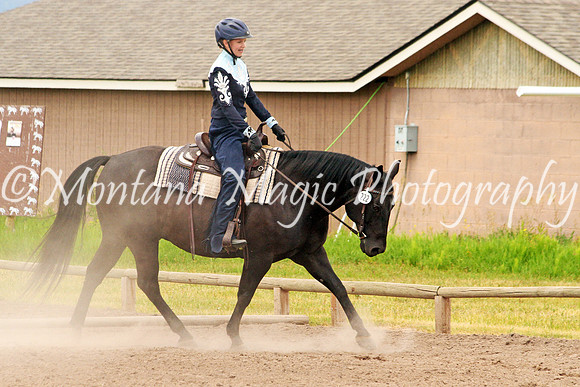 Air Horse One_1229