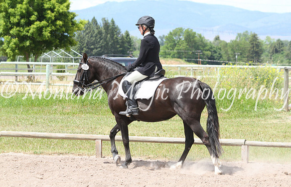 Fiona_1706