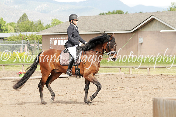 Girasol_0801