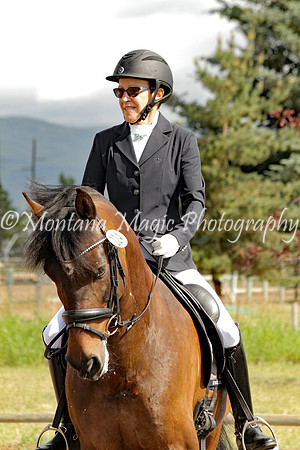 Girasol_0814