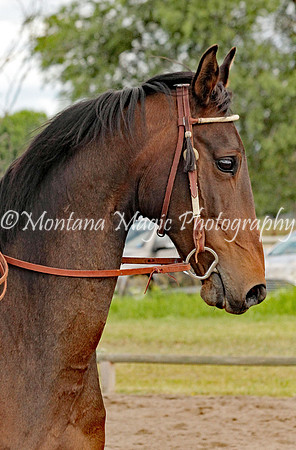 Hey There Delilah_0834-A