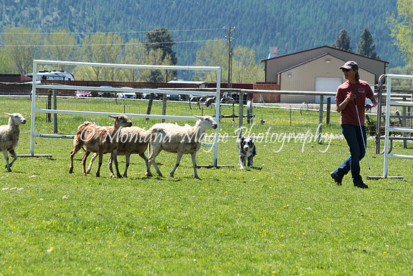 Laycee_8036