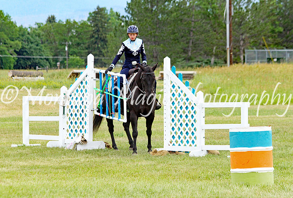 Air Horse One_2109