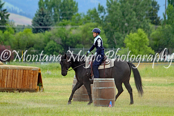 Air Horse One_2127
