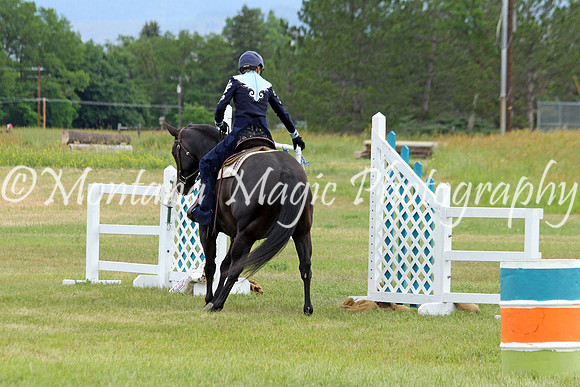 Air Horse One_2116