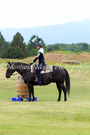 Air Horse One_2143