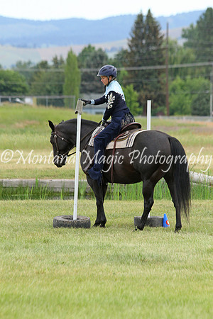 Air Horse One_2154