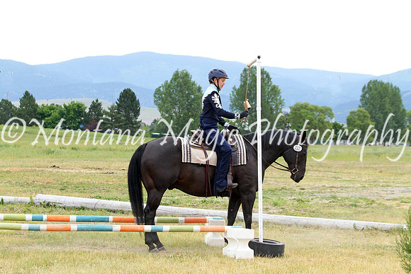 Air Horse One_2158