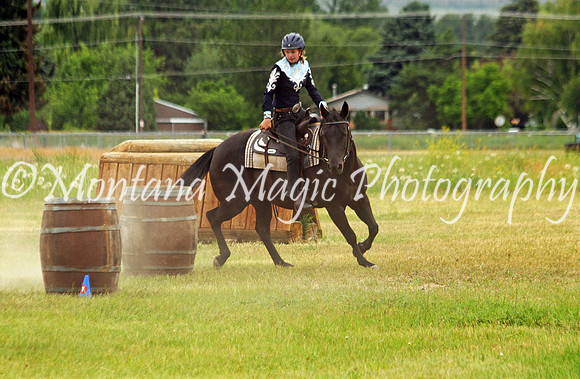 Air Horse One_3565