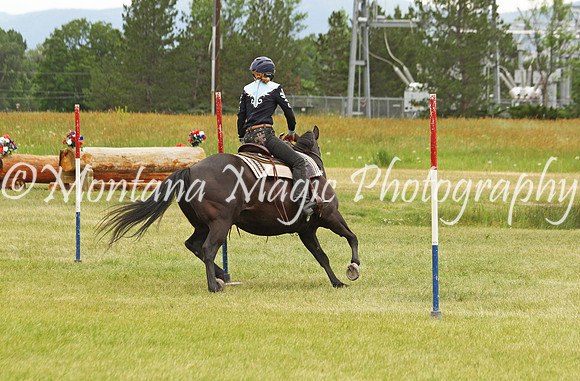 Air Horse One_3585