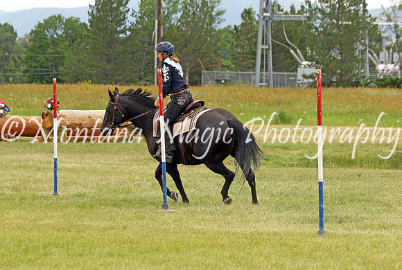 Air Horse One_3590