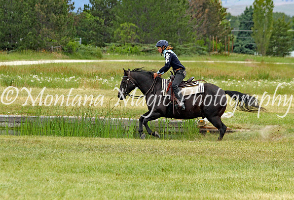 Air Horse One_3593