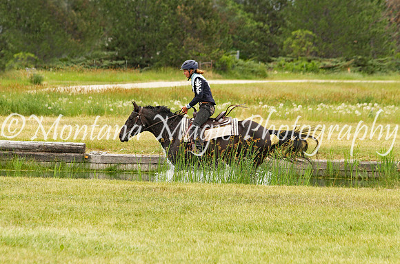 Air Horse One_3597