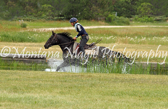 Air Horse One_3598