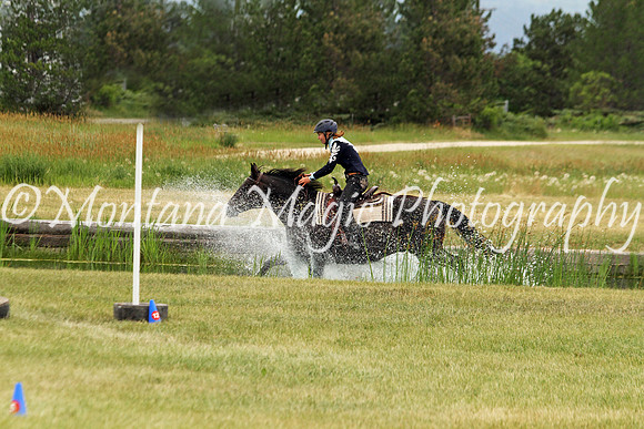 Air Horse One_3599