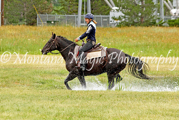 Air Horse One_3604