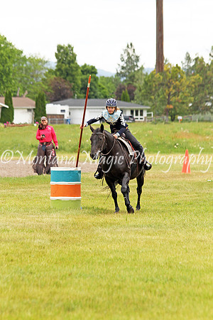Air Horse One_3606