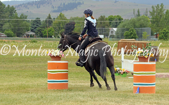 Air Horse One_3611