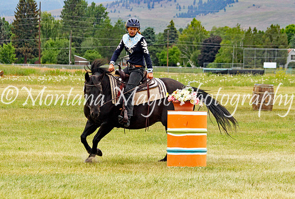 Air Horse One_3615