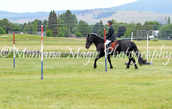 Brin_2279