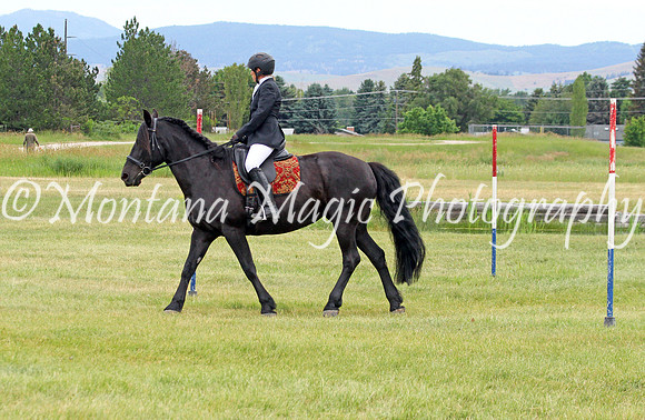 Brin_2281
