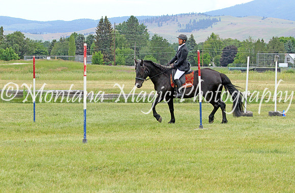 Brin_2280