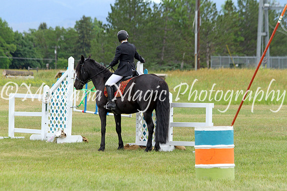 Brin_2288