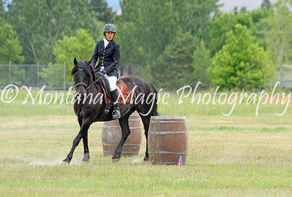 Brin_2291